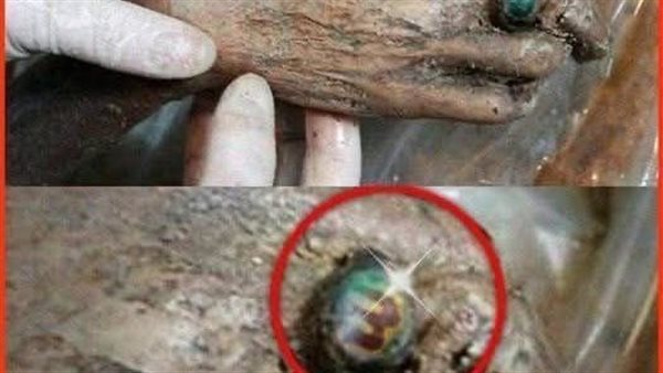 لمحة نيوز
