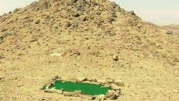 لمحة نيوز