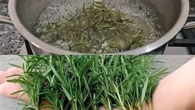 ماذا يحدث عندما تتناول إكليل الجبل كل يوم بعد الخمسين