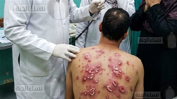 لمحة نيوز