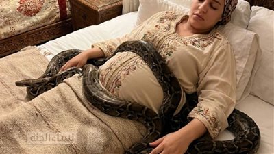 امرأة حامل بجوار أفعاها الأليفة الضخمة كل ليلة