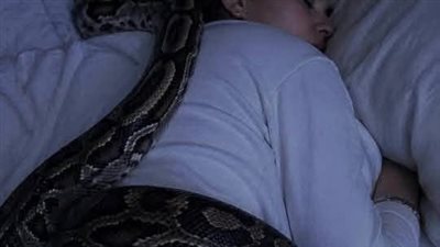 عاشت مع ثعبان ضخم 3 سنوات… ثم اكتشفت أنه لم يكن يحبها بل كان يقيسها