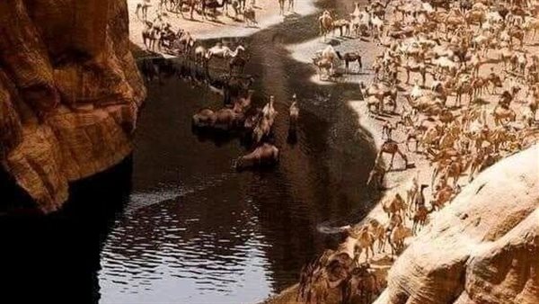 لمحة نيوز