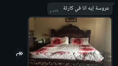 ناريمان صحبتي عروسة جديدة