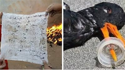 في يوم كنت قاعد انا وصاحبي بقلم حماده هيكل