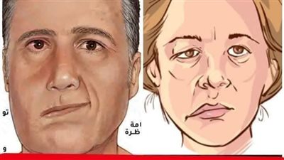 ما هو العصب السابع؟