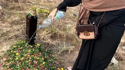 التربي بيرفض دفن الجثه في المقابر