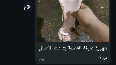 والدى جزار بقلم شهيرة عبد الحميد كاملة
