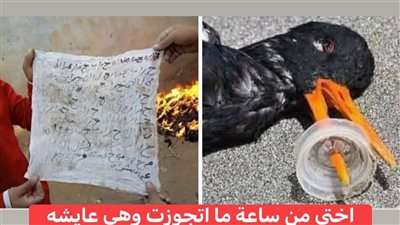 اختي من ساعة ما اتجوزت وهي عايشه في حالة نكد ل حمادة هيكل