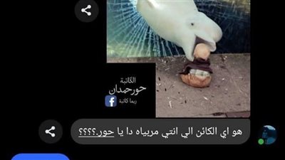 الحمام الرائى حور حمدان