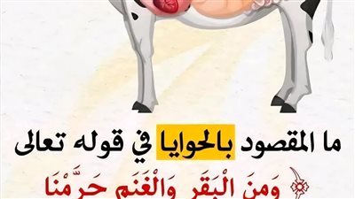 مَعْنَى الحَوايا في الآية