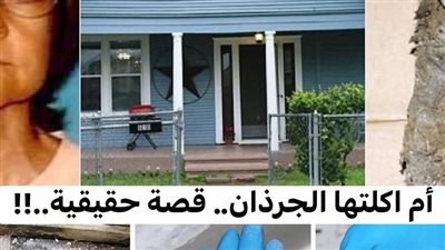 أم أكلتها الجرذان
