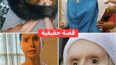 القرد الشامبنزى