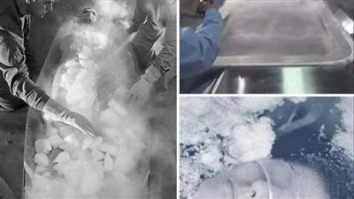قصة بنت مجمدة حدثت موقعه فريده من نوعها فى بريطانيا