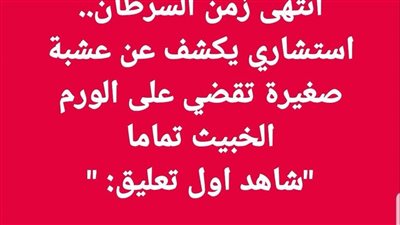 انتهى زمن السړطان … استشاري يكشف عن عشبة صغيرة تقضي على الورم الخبيث تماماً