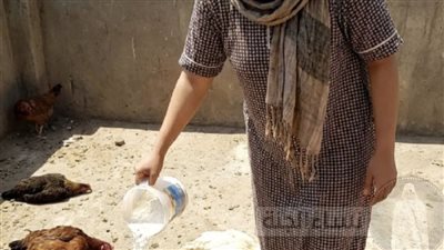قصتي مع سلفتي