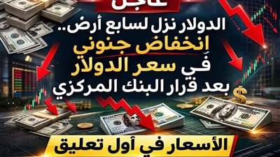 انقلاب كارثي وتاريخي في سعر الدولار بعد قرار البنك المركزي