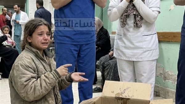 لمحة نيوز
